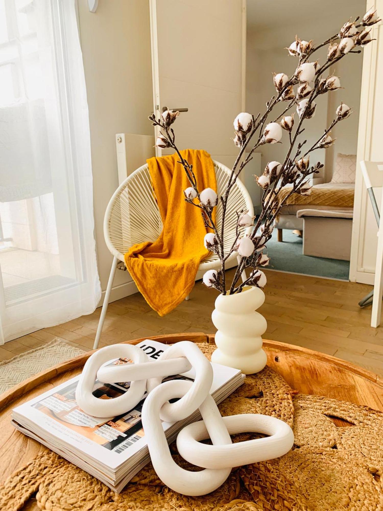 Le Bali Cosy House - T2 Lumineux Et Moderne En Plein Centre Ville De Maisons-Alfort Eksteriør billede